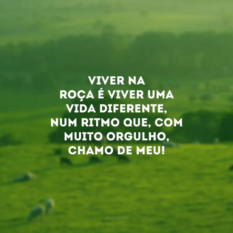 Viver na roça é viver uma vida diferente, num ritmo que, com muito orgulho, chamo de meu!