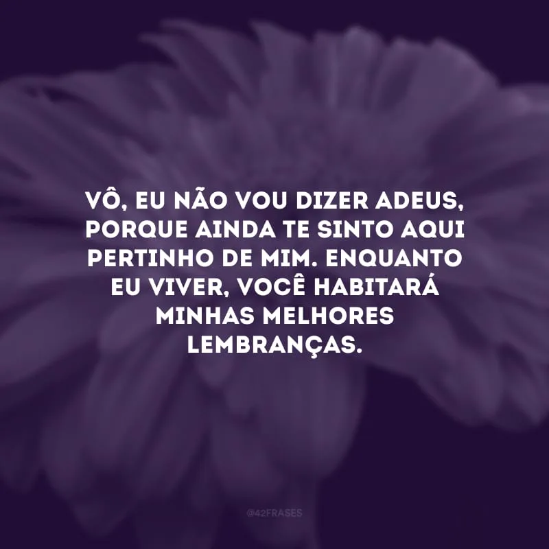 Vô, eu não vou dizer adeus, porque ainda te sinto aqui pertinho de mim. Enquanto eu viver, você habitará minhas melhores lembranças.