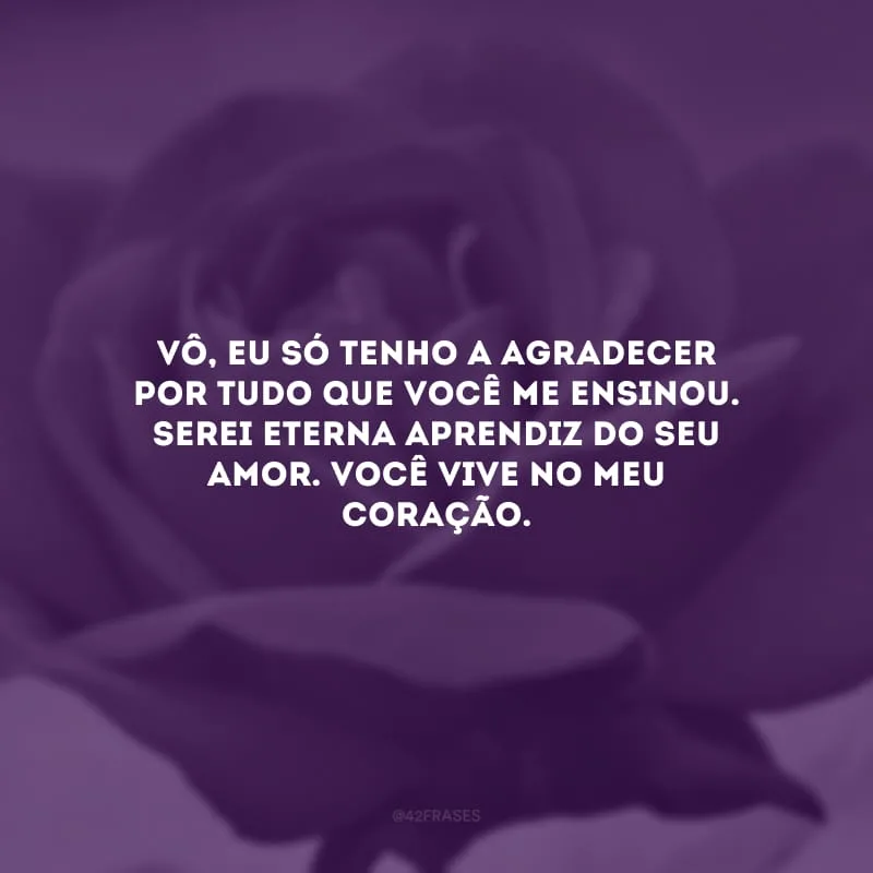 Vô, eu só tenho a agradecer por tudo que você me ensinou. Serei eterna aprendiz do seu amor. Você vive no meu coração.