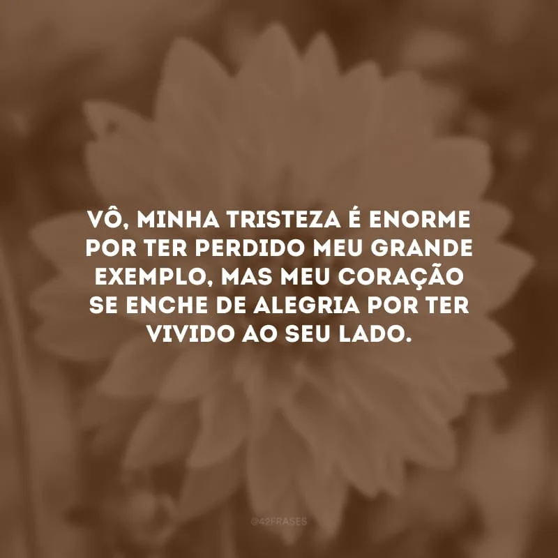 Vô, minha tristeza é enorme por ter perdido meu grande exemplo, mas meu coração se enche de alegria por ter vivido ao seu lado.