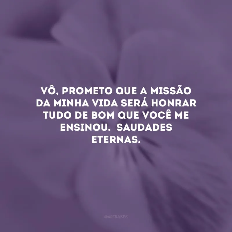Vô, prometo que a missão da minha vida será honrar tudo de bom que você me ensinou.  Saudades eternas.