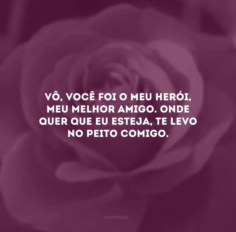 Vô, você foi o meu herói, meu melhor amigo. Onde quer que eu esteja, te levo no peito comigo.