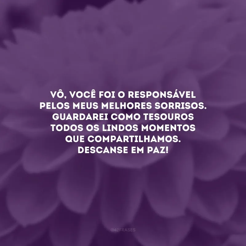 Vô, você foi o responsável pelos meus melhores sorrisos.   Guardarei como tesouros todos os lindos momentos que compartilhamos. Descanse em paz!