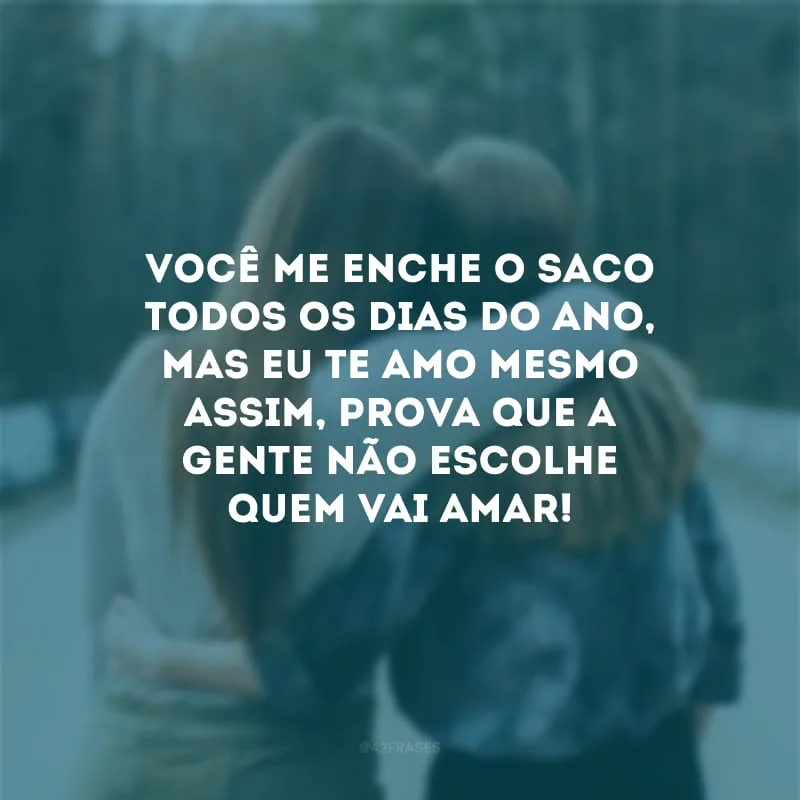 Você me enche o saco todos os dias do ano, mas eu te amo mesmo assim, prova que a gente não escolhe quem vai amar! 