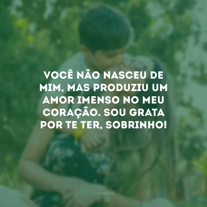 Você não nasceu de mim, mas produziu um amor imenso no meu coração. Sou grata por te ter, sobrinho!