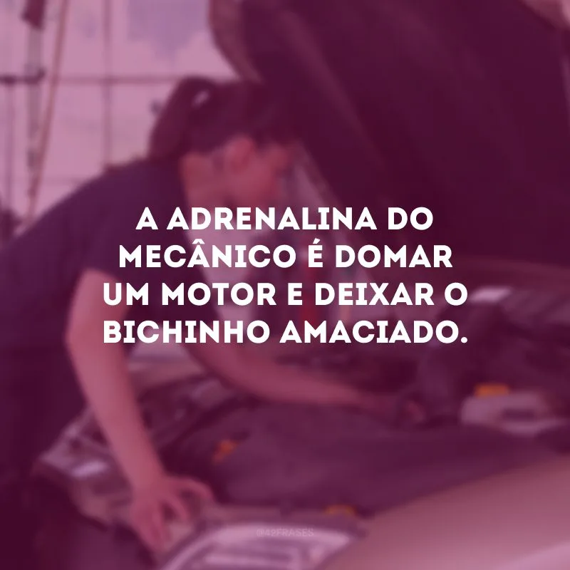A adrenalina do mecânico é domar um motor e deixar o bichinho amaciado.
