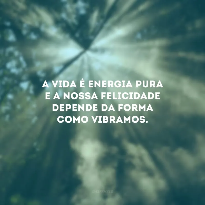 A vida é energia pura e a nossa felicidade depende da forma como vibramos.