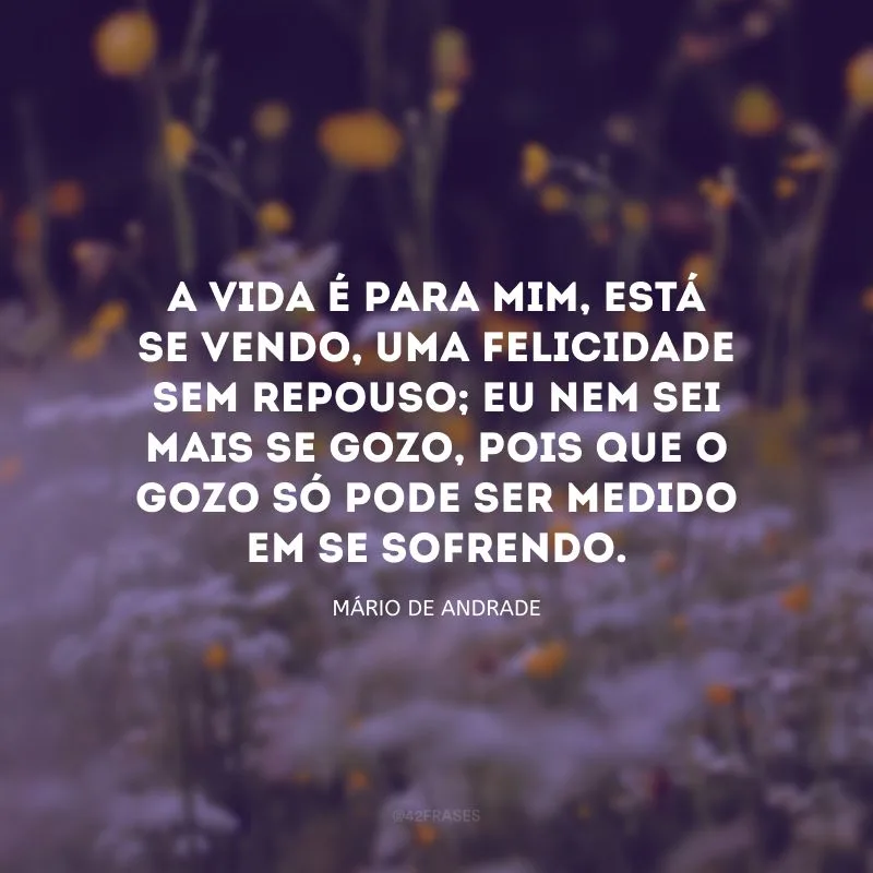 A vida é para mim, está se vendo, uma felicidade sem repouso; eu nem sei mais se gozo, pois que o gozo só pode ser medido em se sofrendo. 