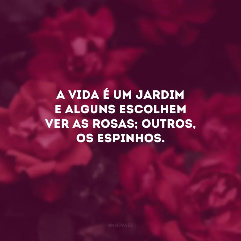 A vida é um jardim e alguns escolhem ver as rosas; outros, os espinhos.