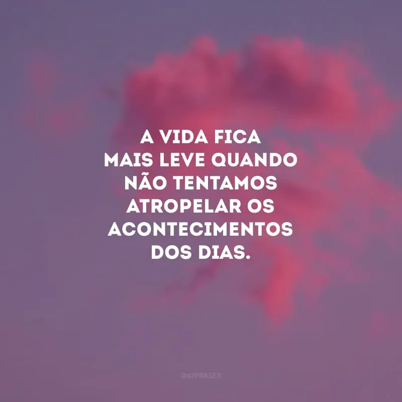 A vida fica mais leve quando não tentamos atropelar os acontecimentos dos dias. 