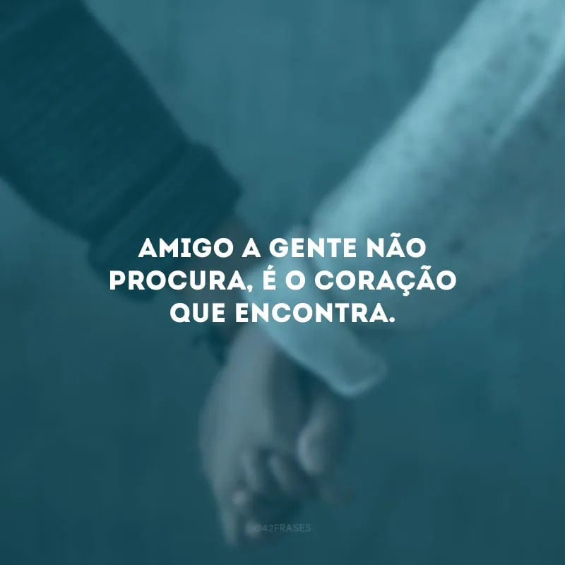 Amigo a gente não procura, é o coração que encontra. 