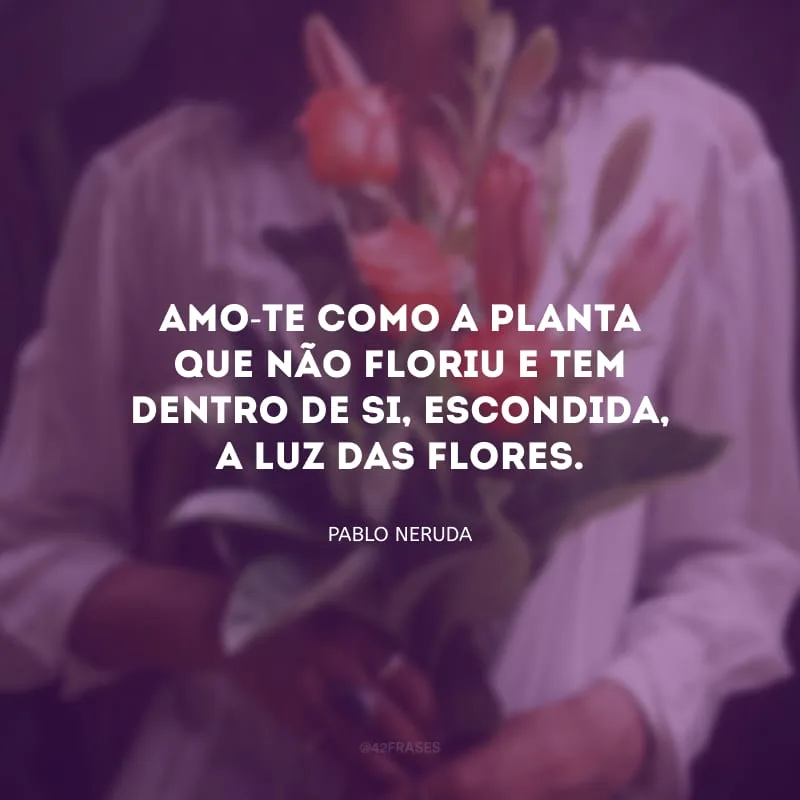 Amo-te como a planta que não floriu e tem dentro de si, escondida, a luz das flores.