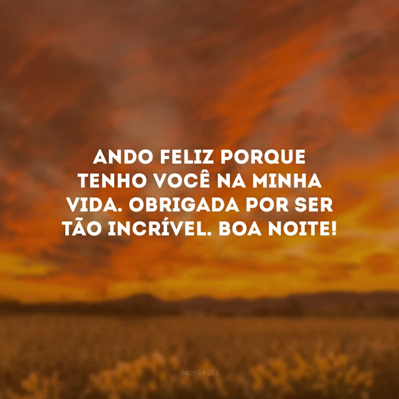 Ando feliz porque tenho você na minha vida. Obrigada por ser tão incrível. Boa noite!