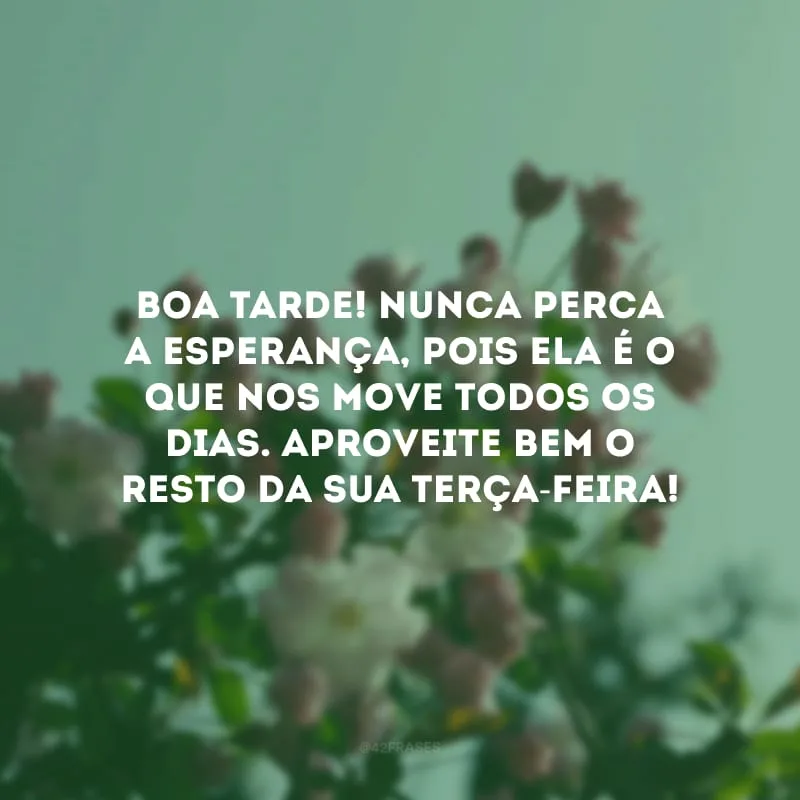 Boa tarde! Nunca perca a esperança, pois ela é o que nos move todos os dias. Aproveite bem o resto da sua terça-feira! 
