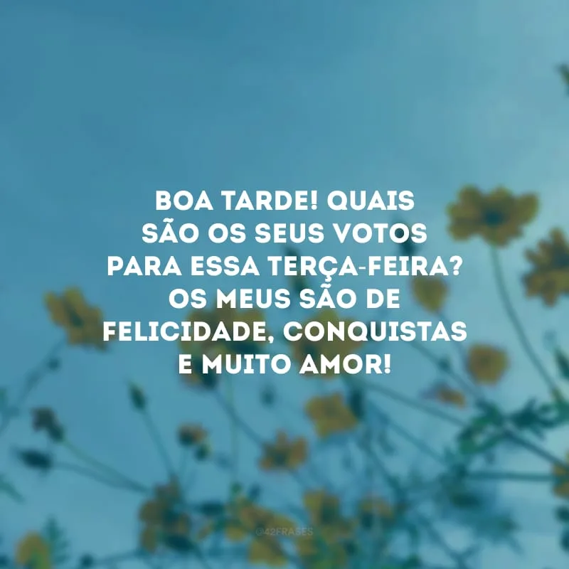 Boa tarde! Quais são os seus votos para essa terça-feira? Os meus são de felicidade, conquistas e muito amor!
