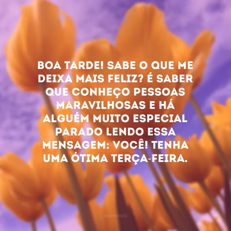 Boa tarde! Sabe o que me deixa mais feliz? É saber que conheço pessoas maravilhosas e há alguém muito especial parado lendo essa mensagem: você! Tenha uma ótima terça-feira. 