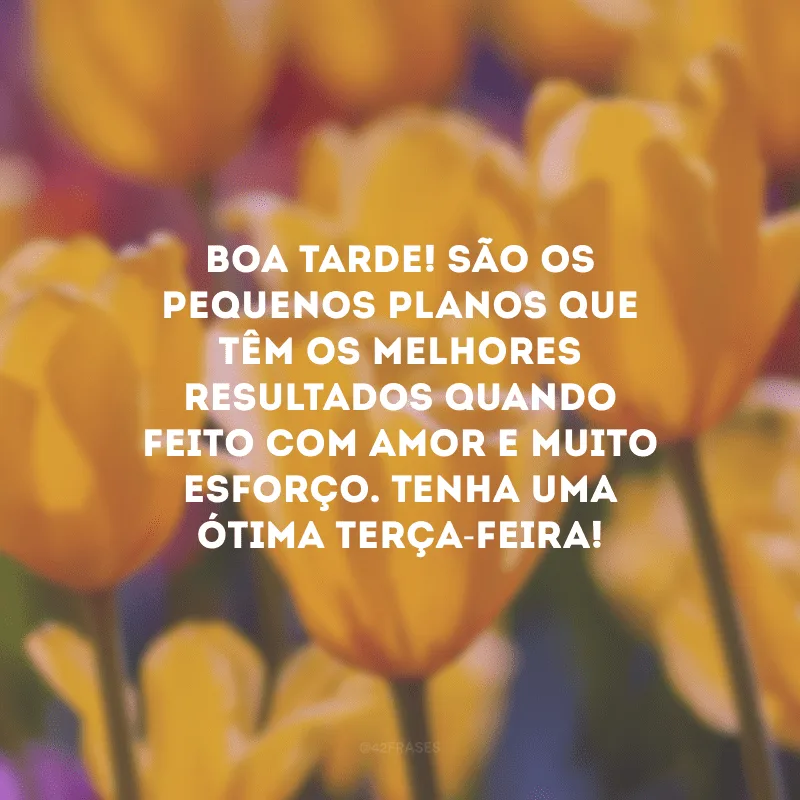 Boa tarde! São os pequenos planos que têm os melhores resultados quando feito com amor e muito esforço. Tenha uma ótima terça-feira! 