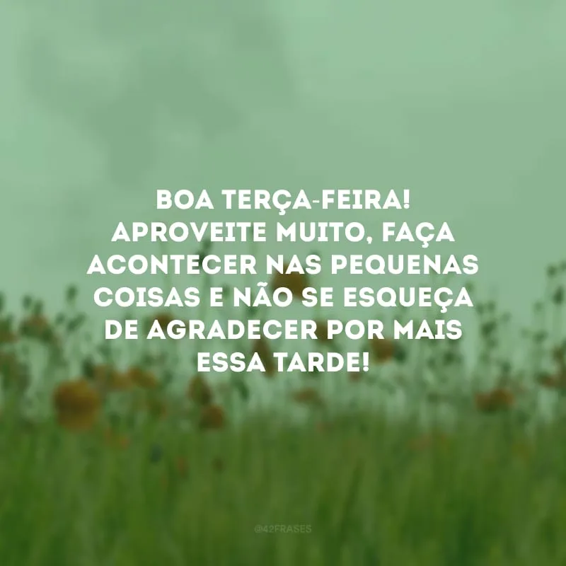 Boa terça-feira! Aproveite muito, faça acontecer nas pequenas coisas e não se esqueça de agradecer por mais essa tarde! 