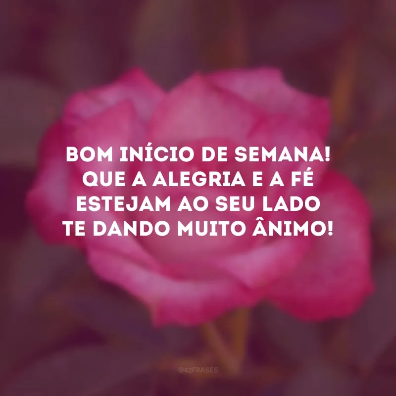 Bom início de semana! Que a alegria e a fé estejam ao seu lado te dando muito ânimo!