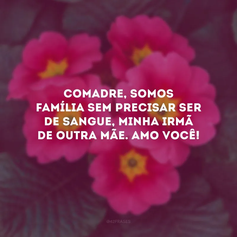 Comadre, somos família sem precisar ser de sangue, minha irmã de outra mãe. Amo você!