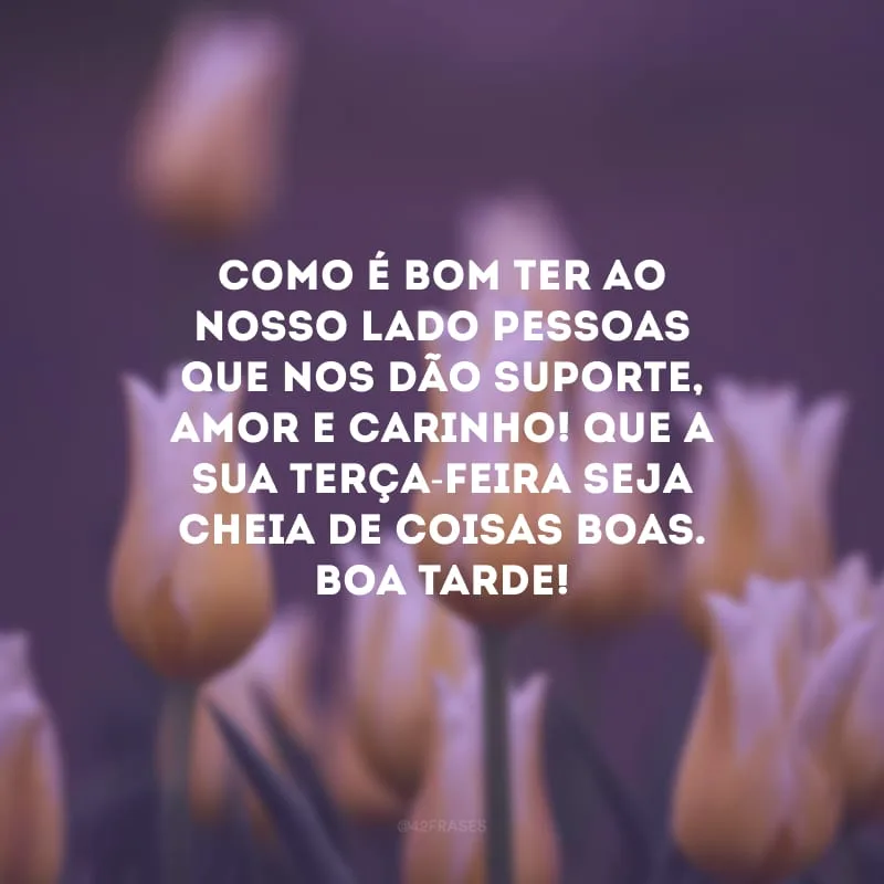 Como é bom ter ao nosso lado pessoas que nos dão suporte, amor e carinho! Que a sua terça-feira seja cheia de coisas boas. Boa tarde! 