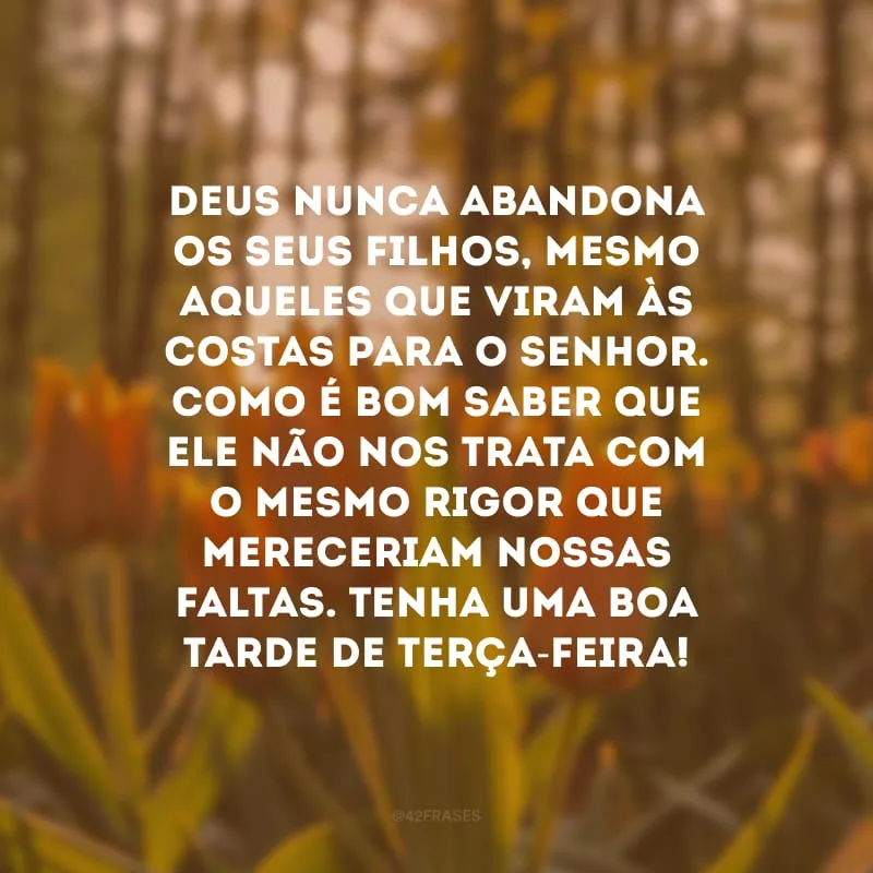 Deus nunca abandona os Seus filhos, mesmo aqueles que viram às costas para o Senhor. Como é bom saber que Ele não nos trata com o mesmo rigor que mereceriam nossas faltas. Tenha uma boa tarde de terça-feira!