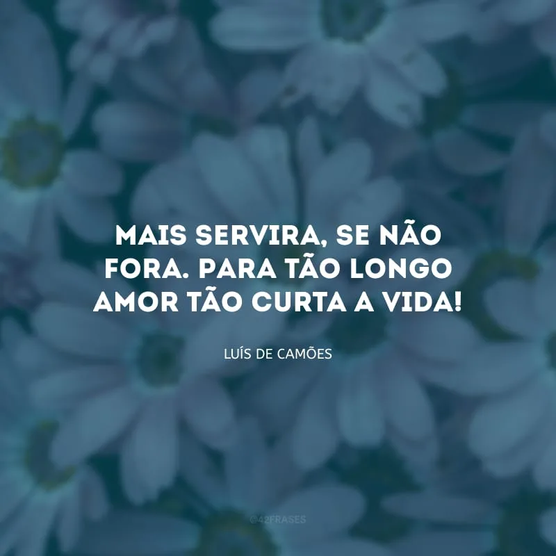 Mais servira, se não fora. Para tão longo amor tão curta a vida!