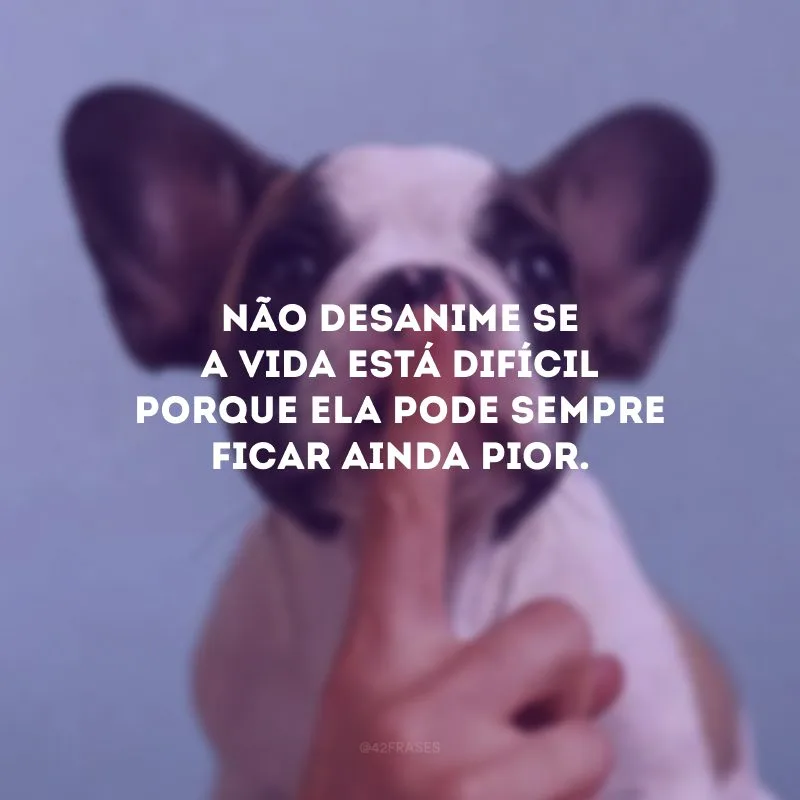 Não desanime se a vida está difícil porque ela pode sempre ficar ainda pior.