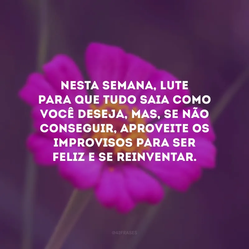 Nesta semana, lute para que tudo saia como você deseja, mas, se não conseguir, aproveite os improvisos para ser feliz e se reinventar.