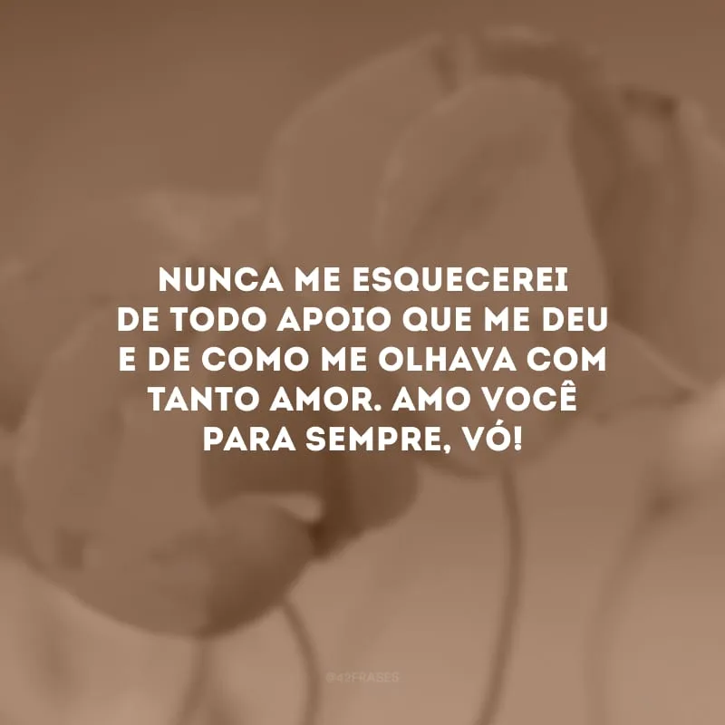 Nunca me esquecerei de todo apoio que me deu e de como me olhava com tanto amor. Amo você para sempre, vó!