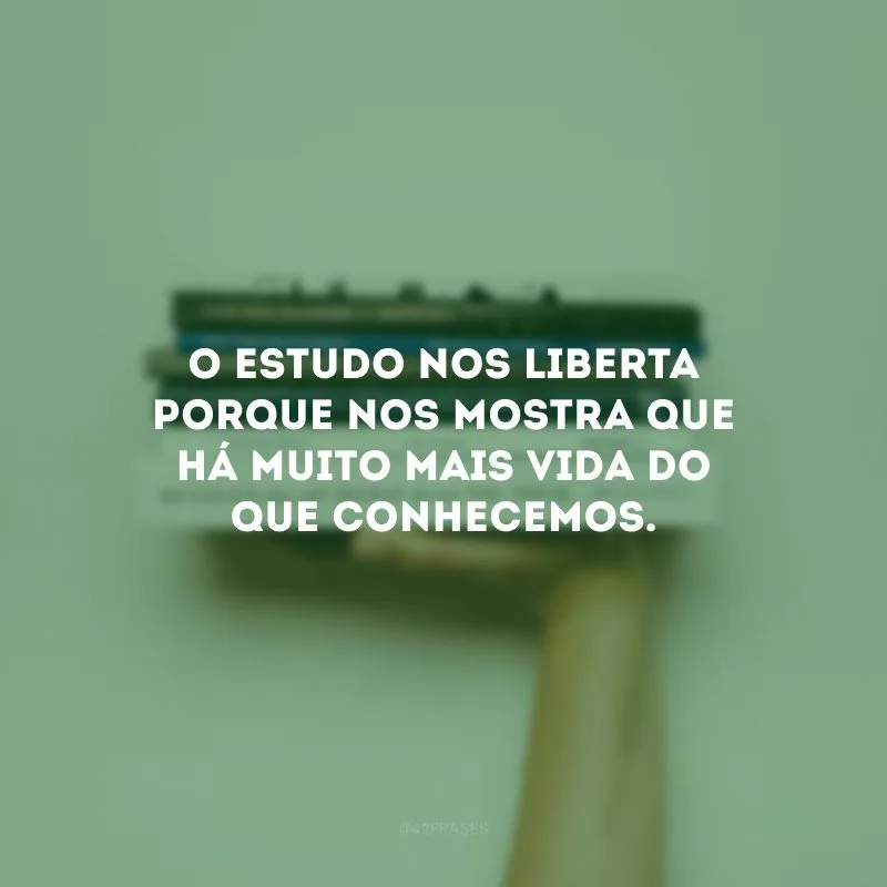 O estudo nos liberta porque nos mostra que há muito mais vida do que conhecemos.