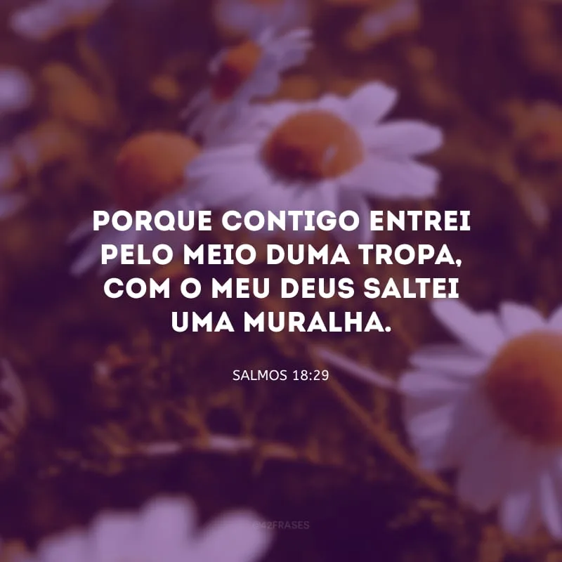 Porque contigo entrei pelo meio duma tropa, com o meu Deus saltei uma muralha. 