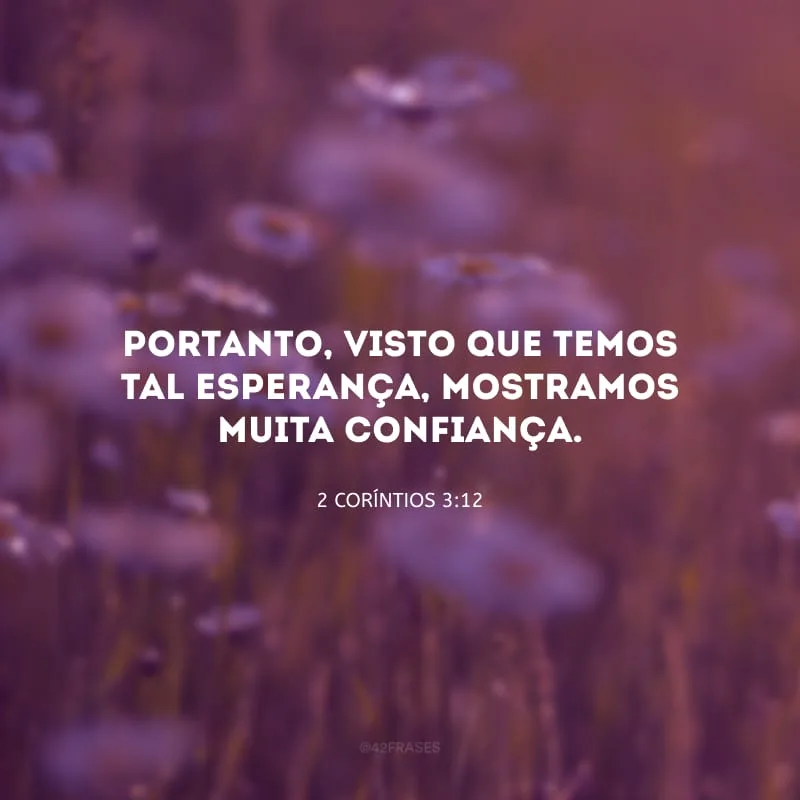 Portanto, visto que temos tal esperança, mostramos muita confiança.
