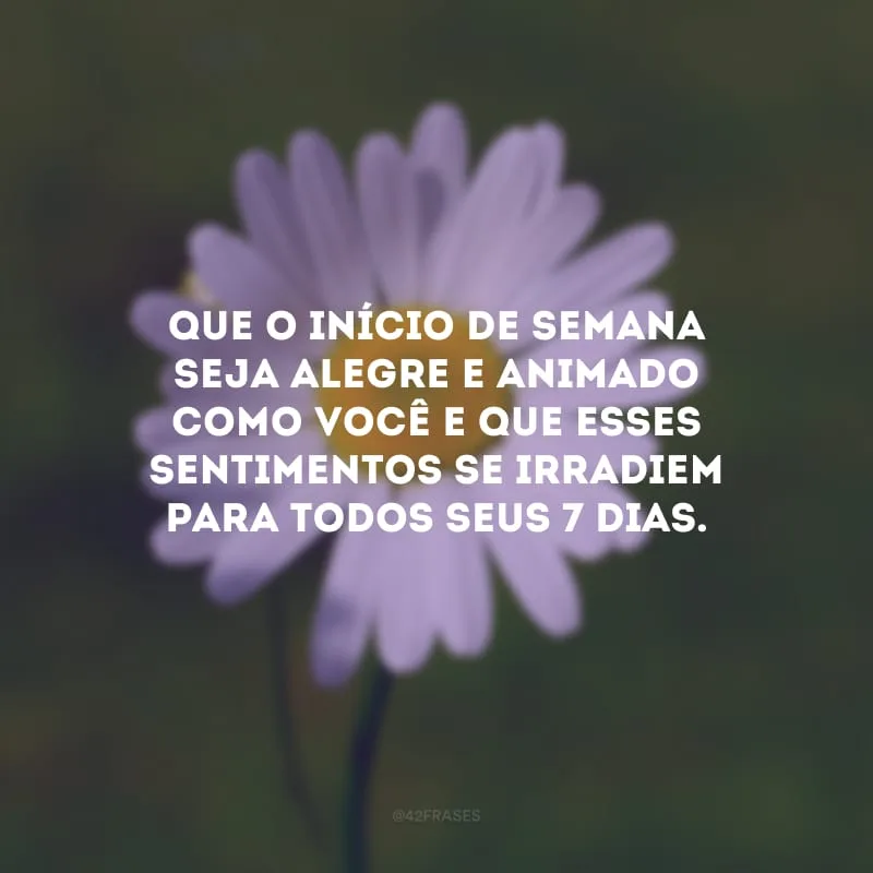 Que o início de semana seja alegre e animado como você e que esses sentimentos se irradiem para todos seus 7 dias.