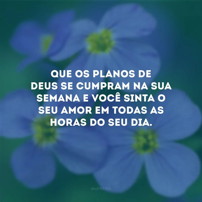 Que os planos de Deus se cumpram na sua semana e você sinta o seu amor em todas as horas do seu dia.