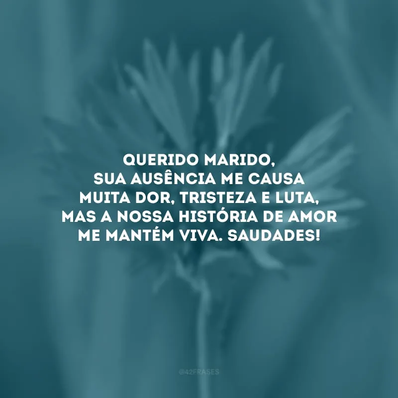 Querido marido, sua ausência me causa muita dor, tristeza e luta, mas a nossa história de amor me mantém viva. Saudades!