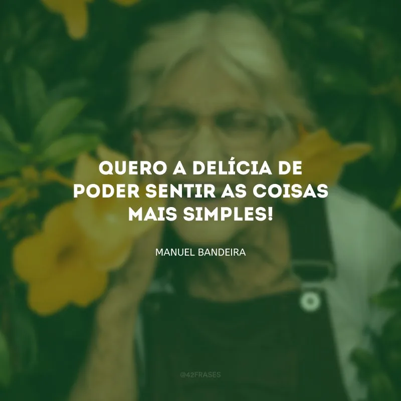 Quero a delícia de poder sentir as coisas mais simples!
