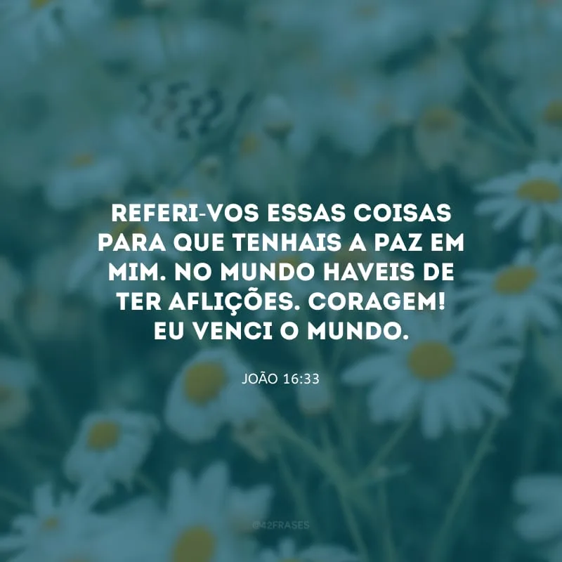 Referi-vos essas coisas para que tenhais a paz em mim. No mundo haveis de ter aflições. Coragem! Eu venci o mundo.