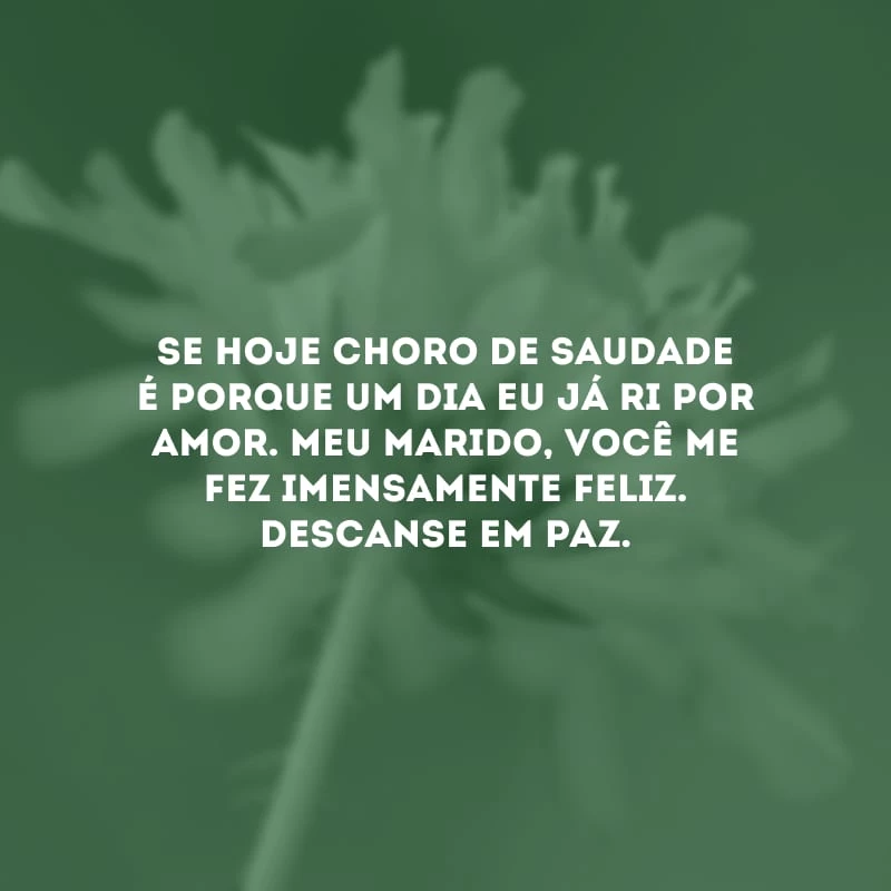 Se hoje choro de saudade é porque um dia eu já ri por amor. Meu marido, você me fez imensamente feliz. Descanse em paz.
