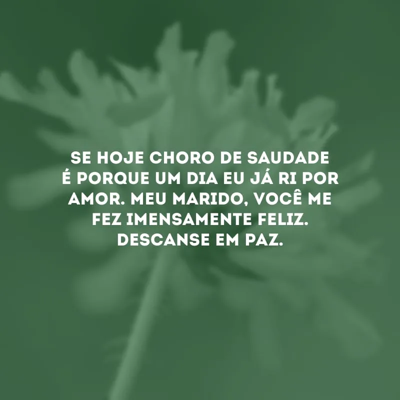 Se hoje choro de saudade é porque um dia eu já ri por amor. Meu marido, você me fez imensamente feliz. Descanse em paz.