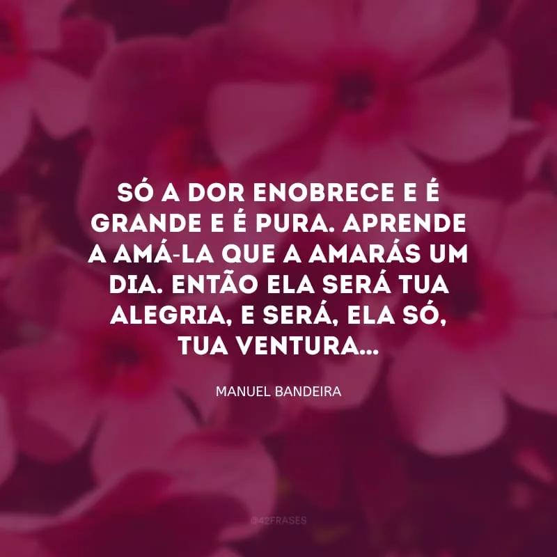 Só a dor enobrece e é grande e é pura. Aprende a amá-la que a amarás um dia. Então ela será tua alegria, e será, ela só, tua ventura…