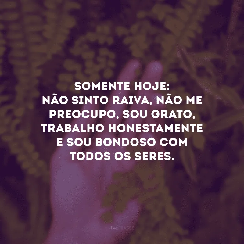 Somente hoje: não sinto raiva, não me preocupo, sou grato, trabalho honestamente e sou bondoso com todos os seres.