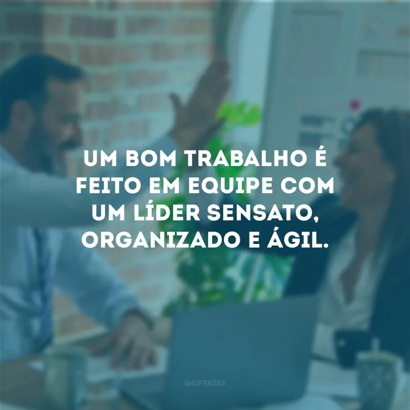 Um bom trabalho é feito em equipe com um líder sensato, organizado e ágil. 