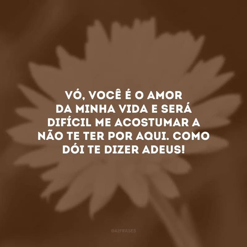 Vó, você é o amor da minha vida e será difícil me acostumar a não te ter por aqui. Como dói te dizer adeus!