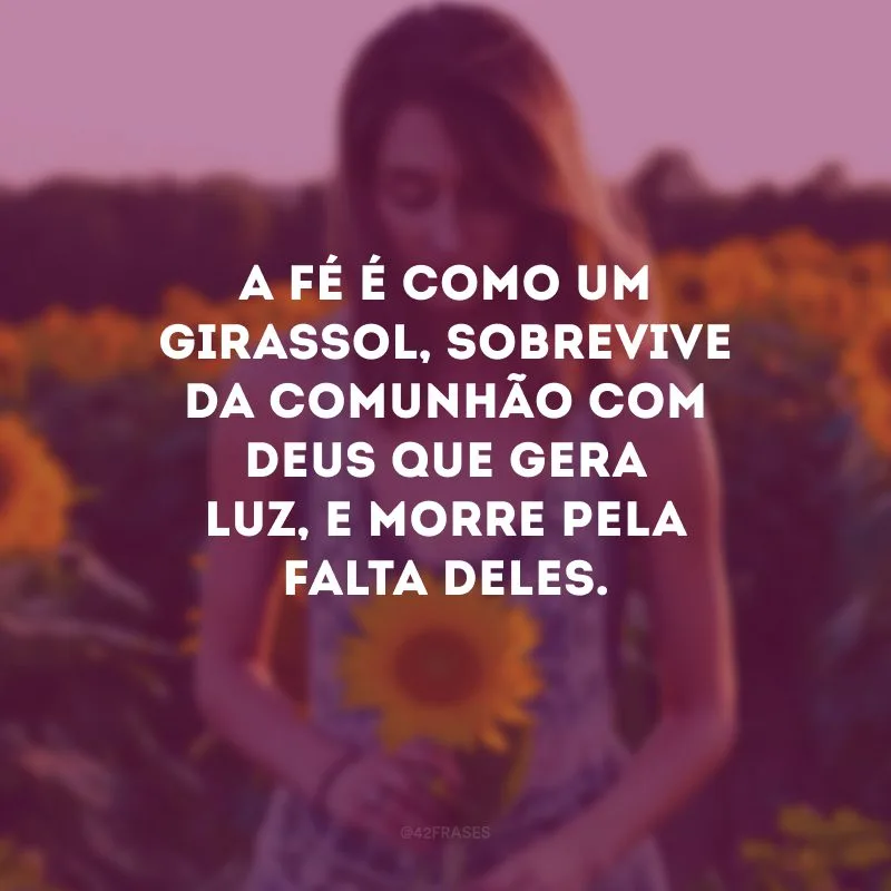 A fé é como um girassol, sobrevive da comunhão com Deus que gera luz, e morre pela falta deles.