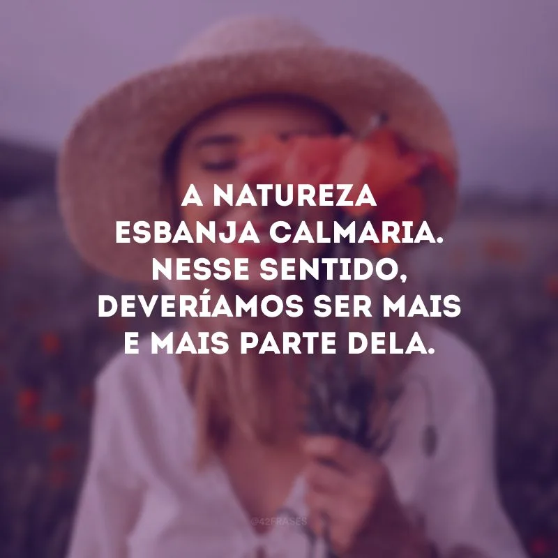 A natureza esbanja calmaria. Nesse sentido, deveríamos ser mais e mais parte dela.
