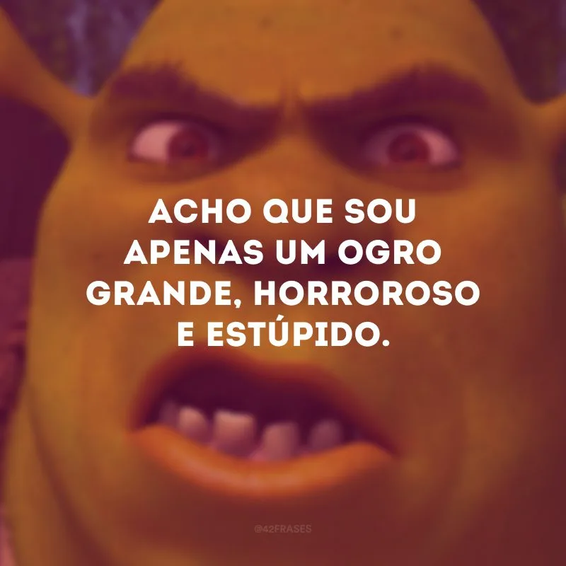 Acho que sou apenas um ogro grande, horroroso e estúpido.