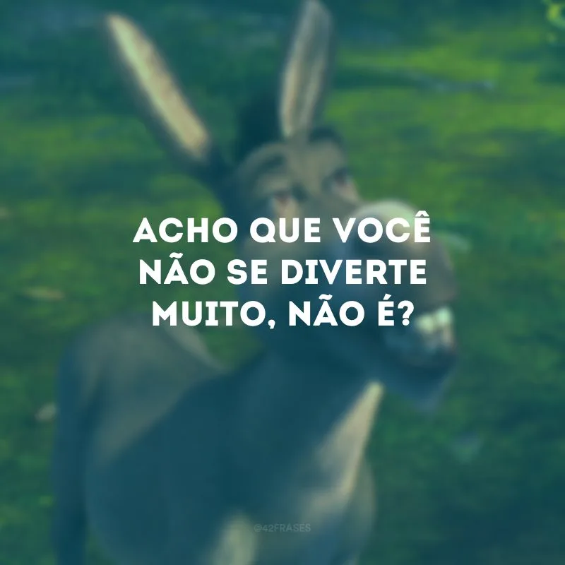 Acho que você não se diverte muito, não é?