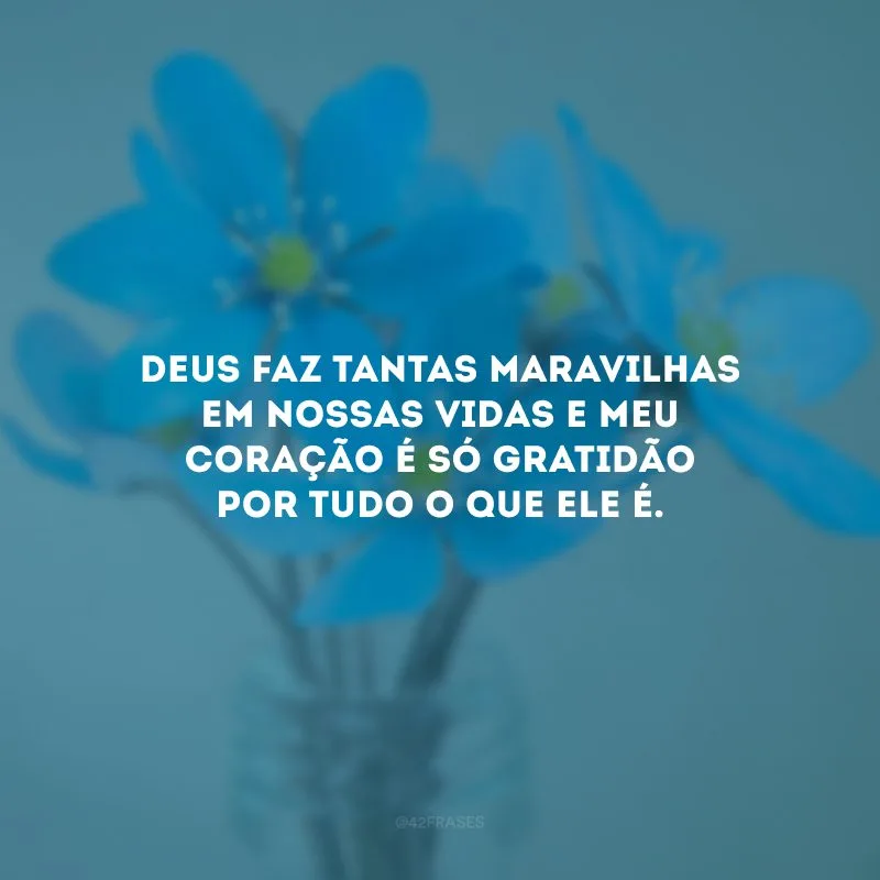 Deus faz tantas maravilhas em nossas vidas e meu coração é só gratidão por tudo o que Ele é.