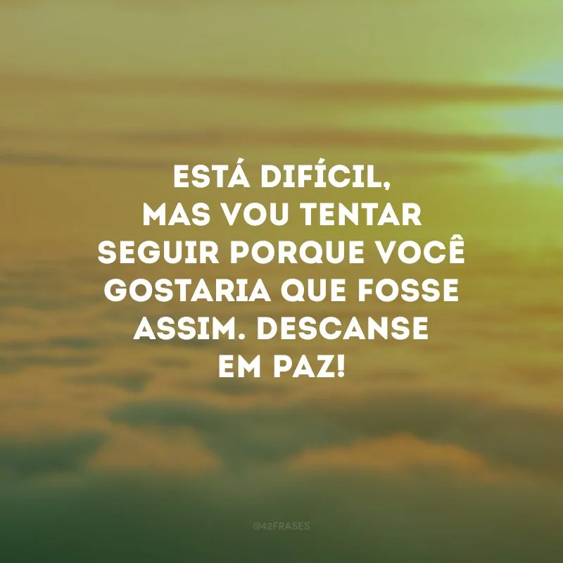 Está difícil, mas vou tentar seguir porque você gostaria que fosse assim. Descanse em paz!